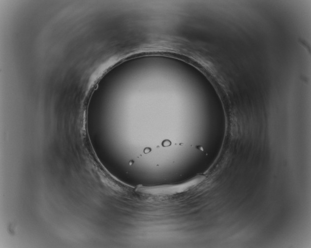 X0000103431366200809121320