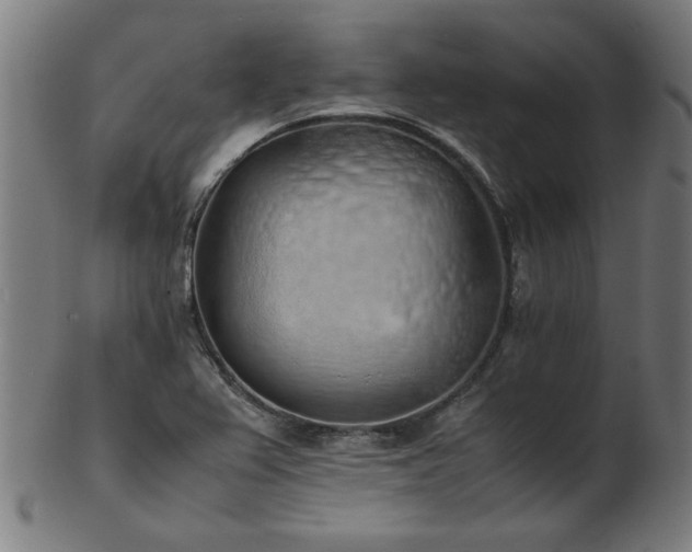 X0000103431367200809121320