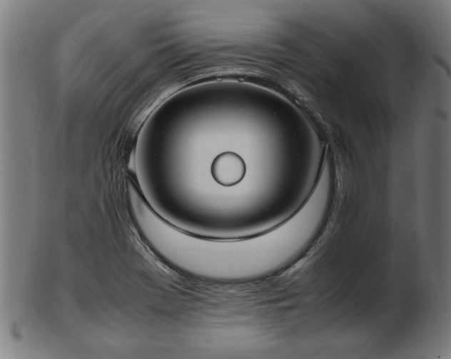 X0000103431369200809121320