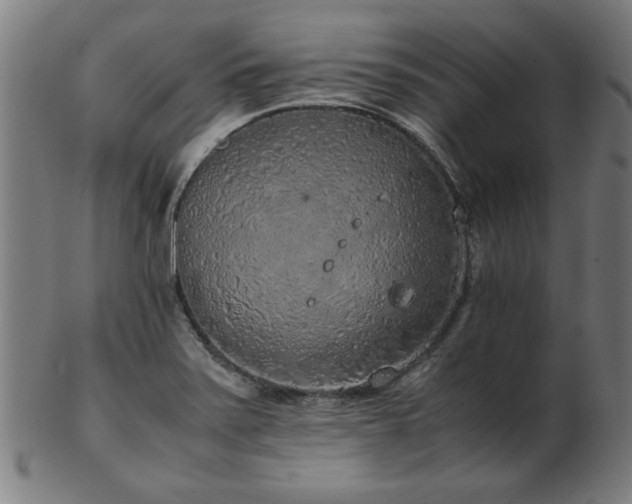 X0000103431371200809121320