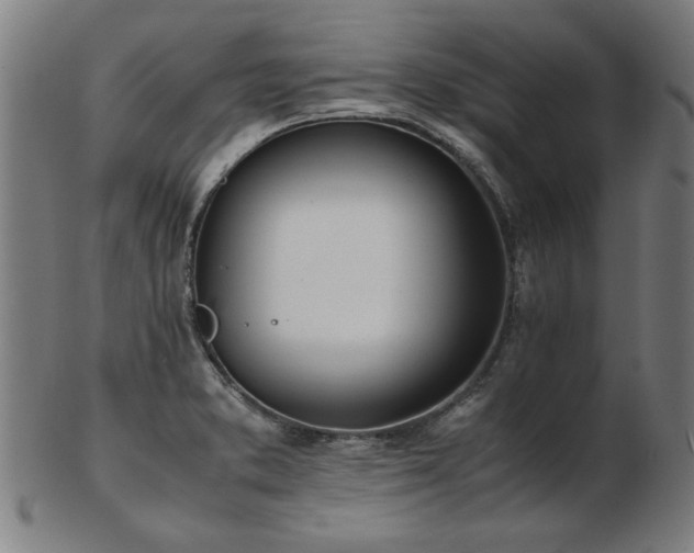 X0000103431373200809121320