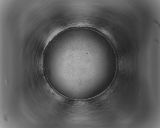 X0000103431374200809121320