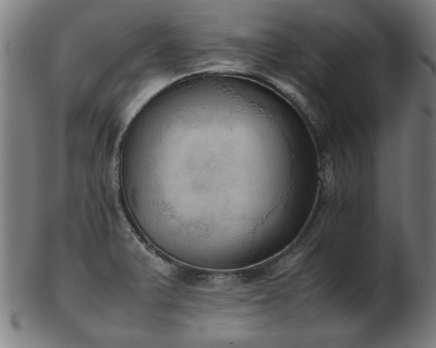 X0000103431375200809121320