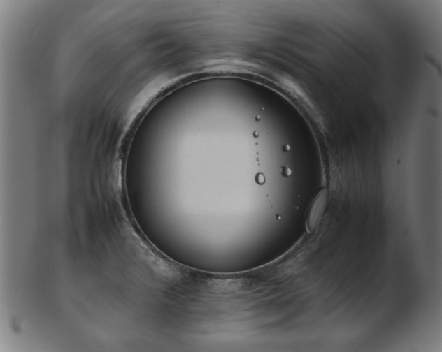 X0000103431376200809121320