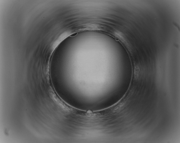 X0000103431378200809121320