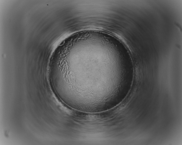 X0000103431379200809121320