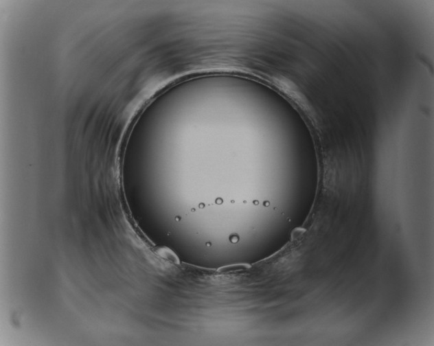 X0000103431380200809121320