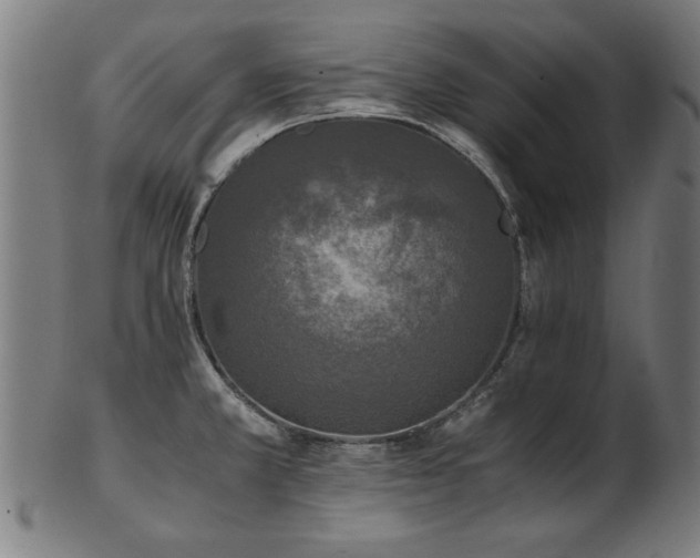 X0000103431381200809121320