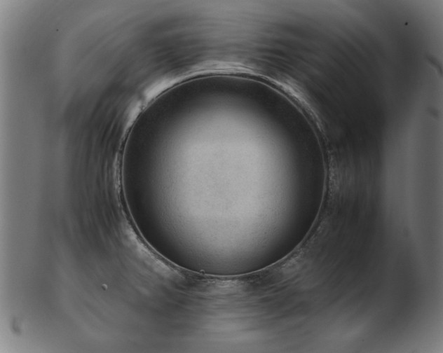 X0000103431382200809121320
