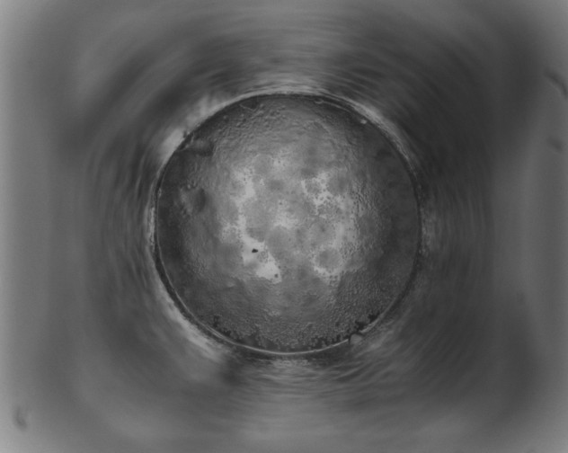 X0000103431383200809121320