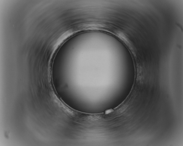 X0000103431384200809121320