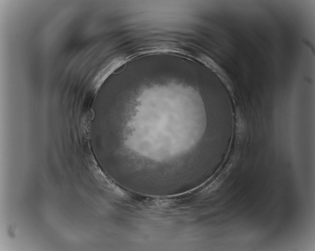 X0000103431385200809121320