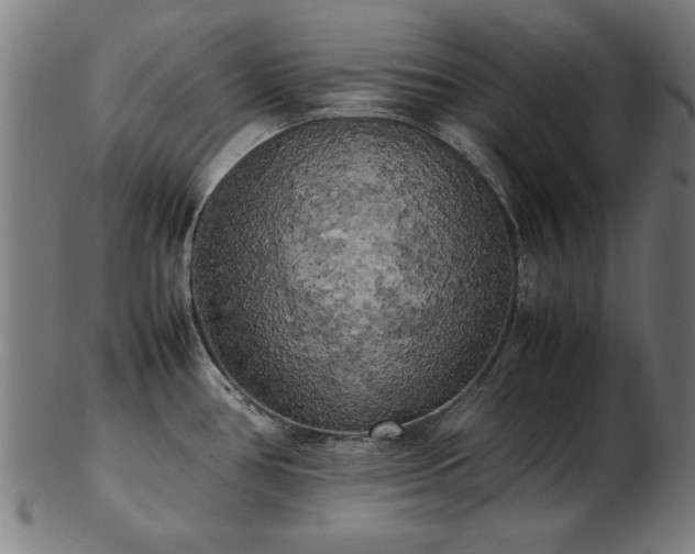 X0000103431386200809121320