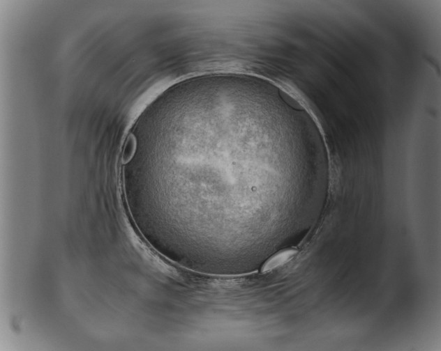 X0000103431389200809121320