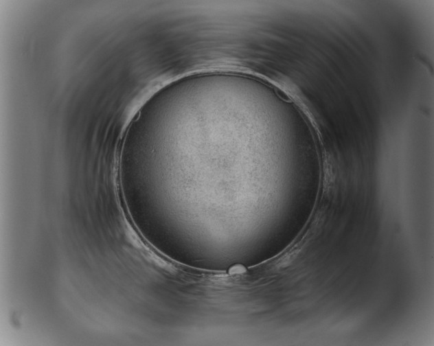 X0000103431390200809121320
