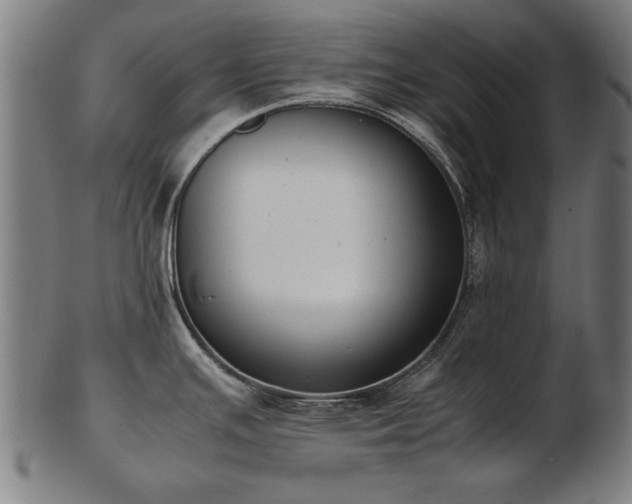 X0000103431391200809121320