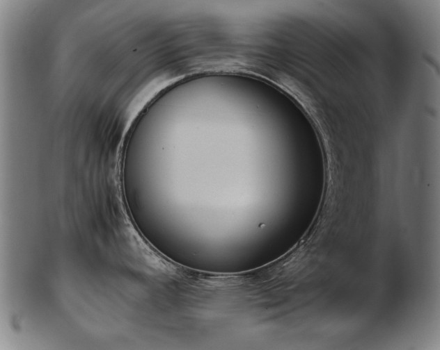 X0000103431392200809121320