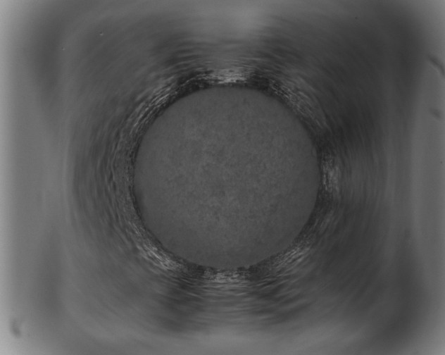 X0000103431393200809121319