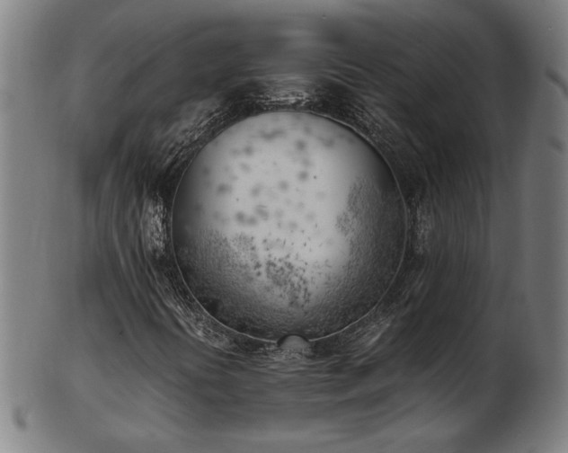 X0000103431394200809121319