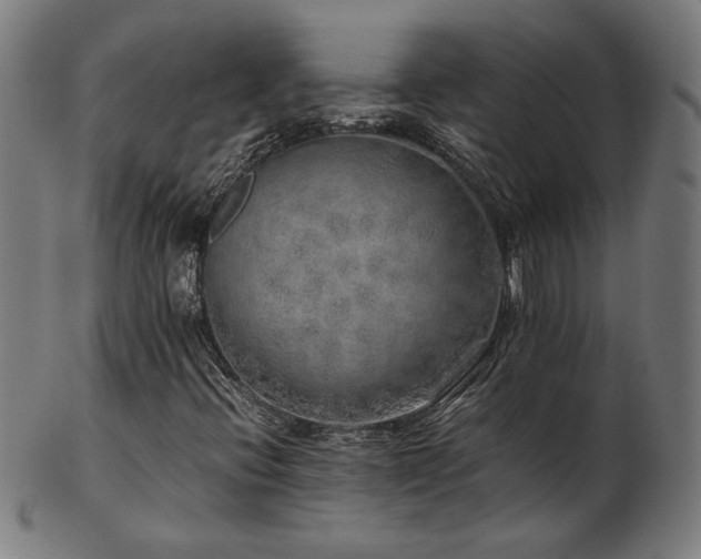 X0000103431396200809121319