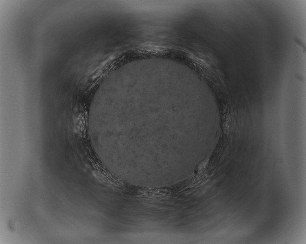 X0000103431397200809121319