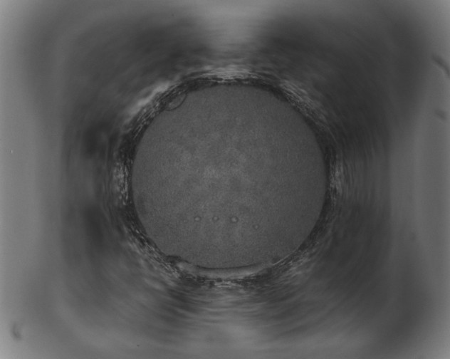 X0000103431398200809121319