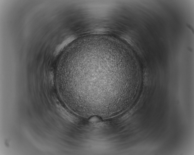 X0000103431402200809121319