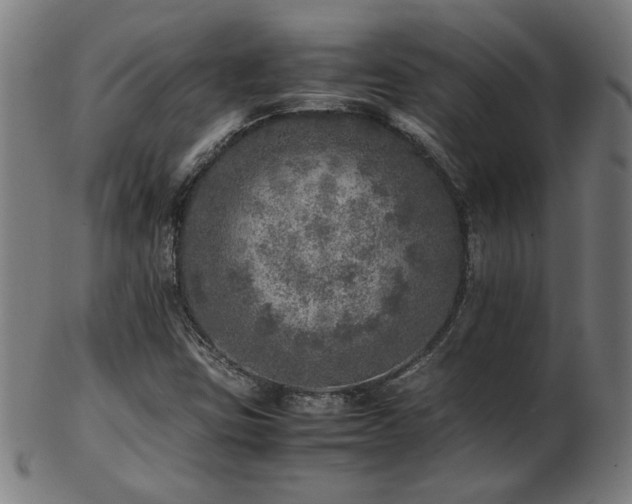 X0000103431403200809121319