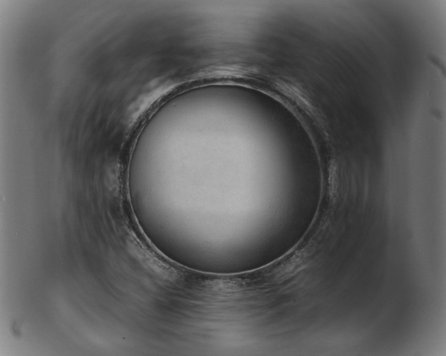 X0000103431404200809121319