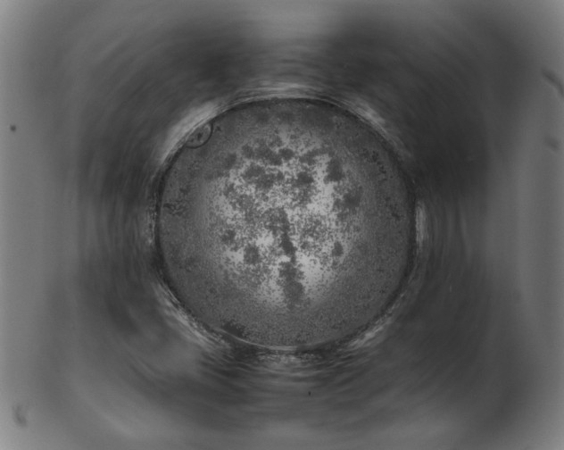 X0000103431405200809121319