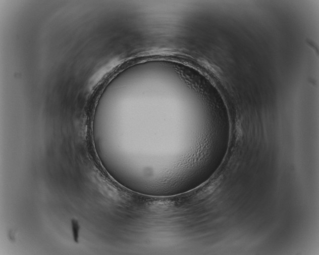 X0000103431406200809121319