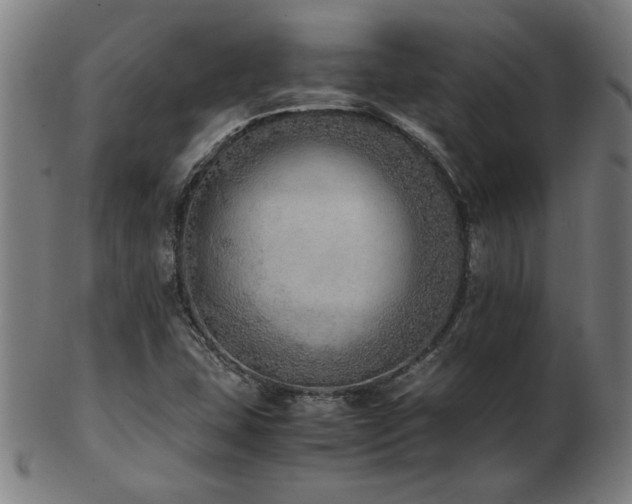 X0000103431407200809121319