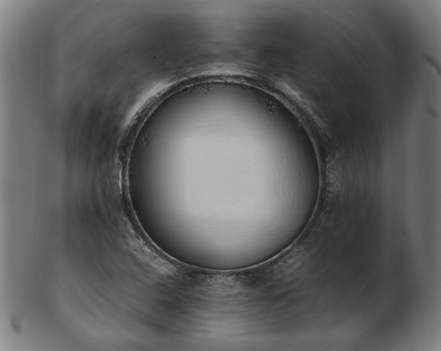 X0000103431408200809121319