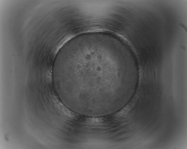 X0000103431409200809121319