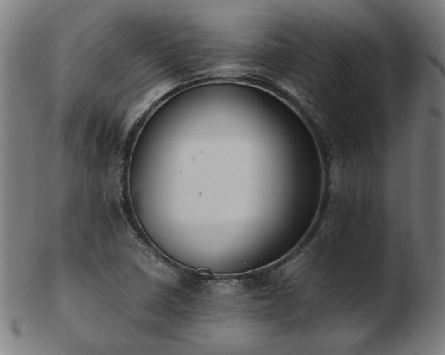 X0000103431410200809121319