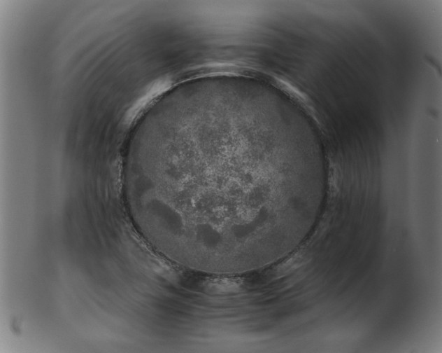 X0000103431411200809121319