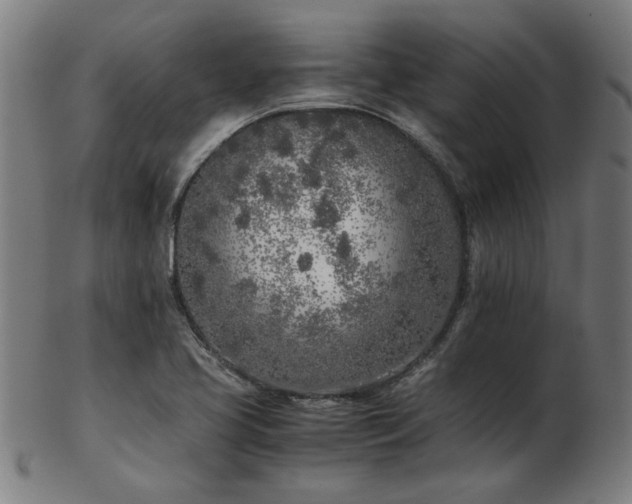 X0000103431413200809121319