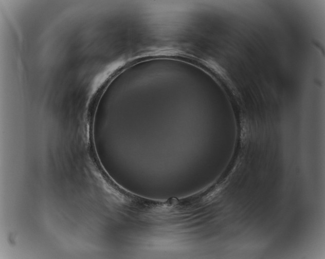 X0000103431414200809121319