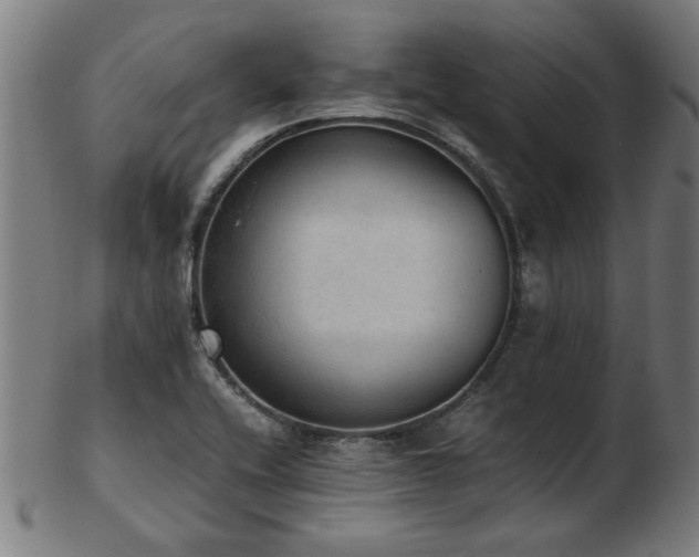 X0000103431416200809121319