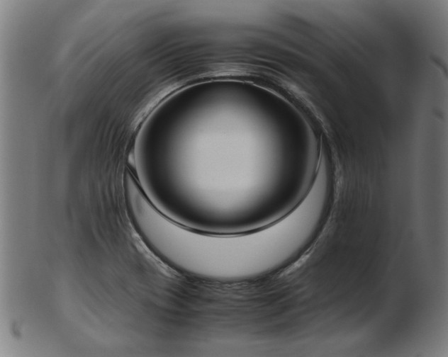 X0000103431417200809121319