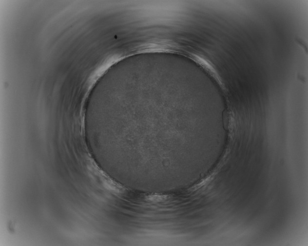 X0000103431419200809121319