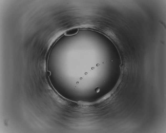 X0000103431420200809121319
