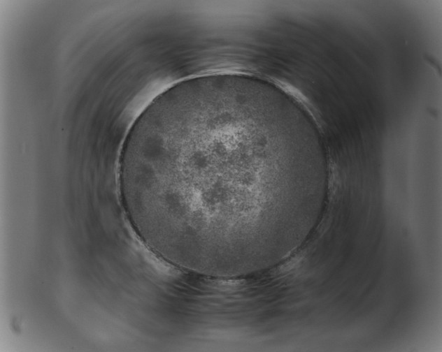 X0000103431423200809121319