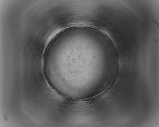 X0000103431424200809121319