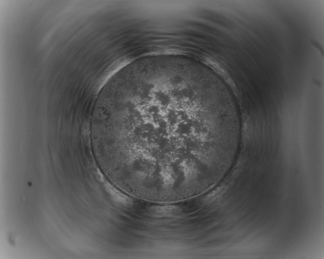 X0000103431425200809121319
