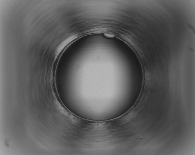 X0000103431426200809121319