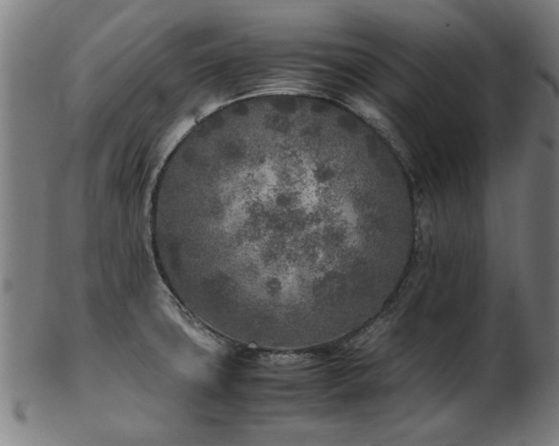 X0000103431427200809121319
