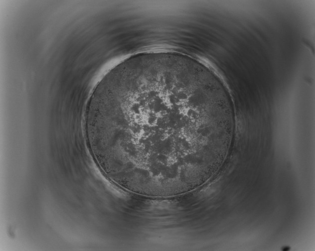 X0000103431429200809121319