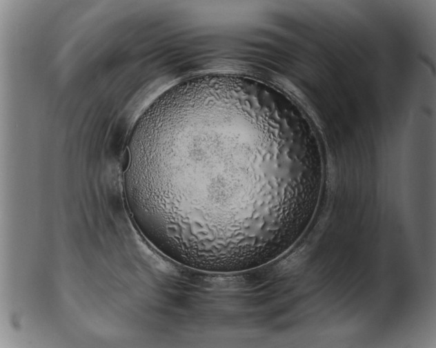 X0000103431433200809121320