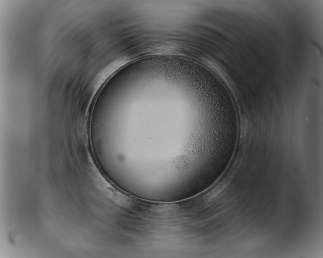 X0000103431434200809121320